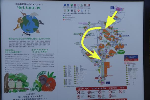 旭山動物園　反時計回り　東門