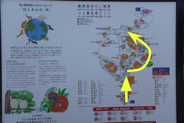 旭山動物園　反時計回り　正門