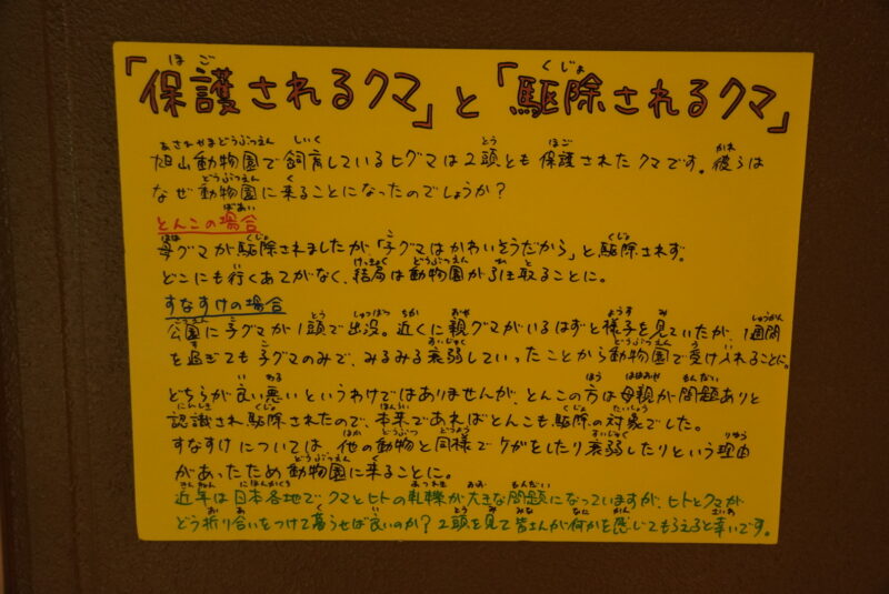 旭山動物園　保護されるクマと駆除されるクマ