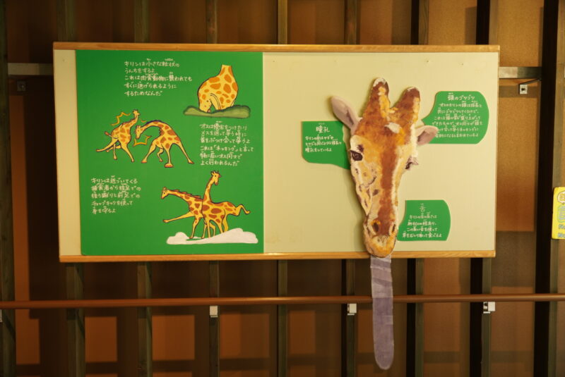 旭山動物園　キリンのカンバン