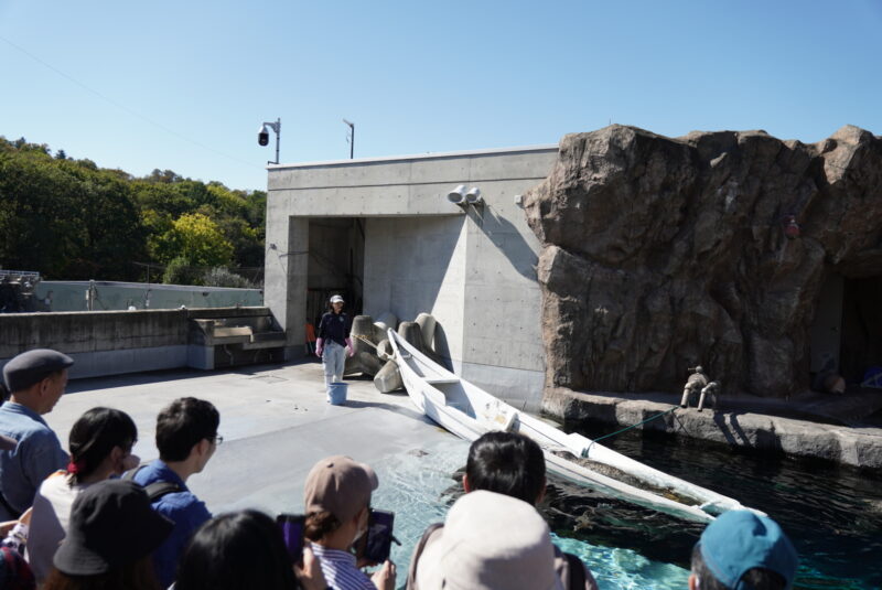 旭山動物園　アザラシ館　もぐもぐタイム