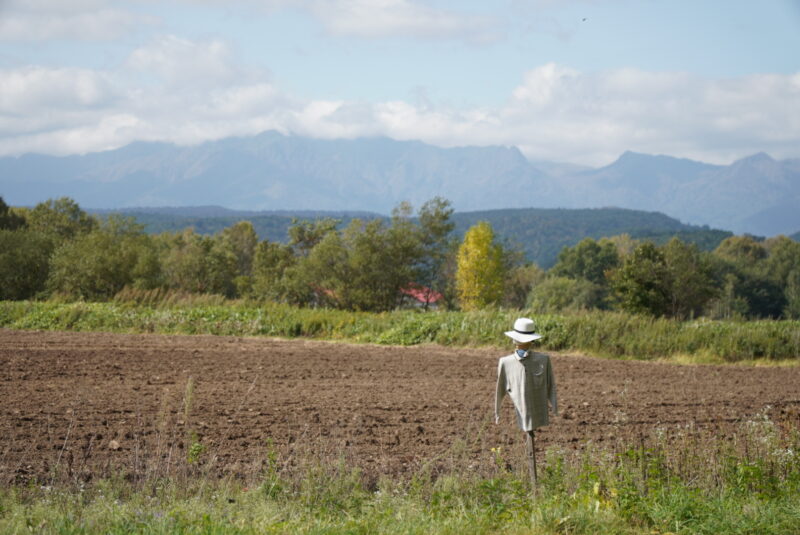 富良野　かかし