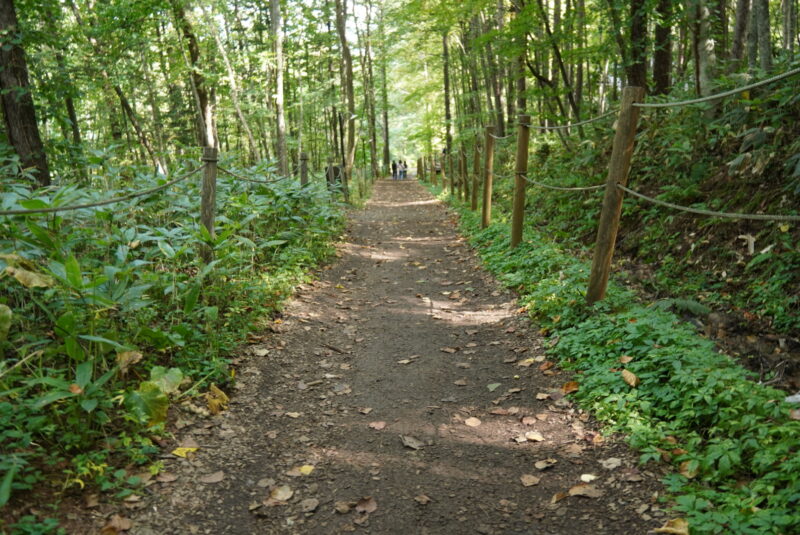 珈琲　森の時計　経路