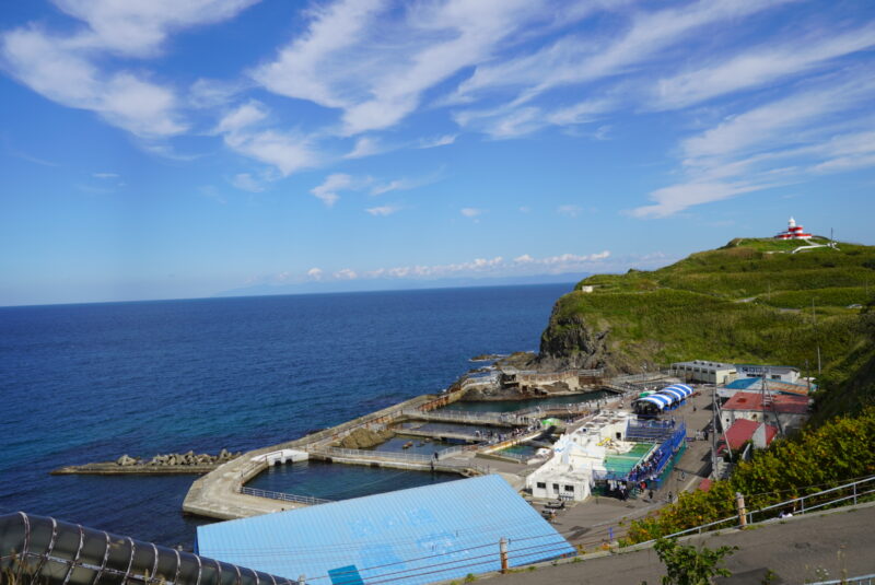 おたる水族館　海獣公園