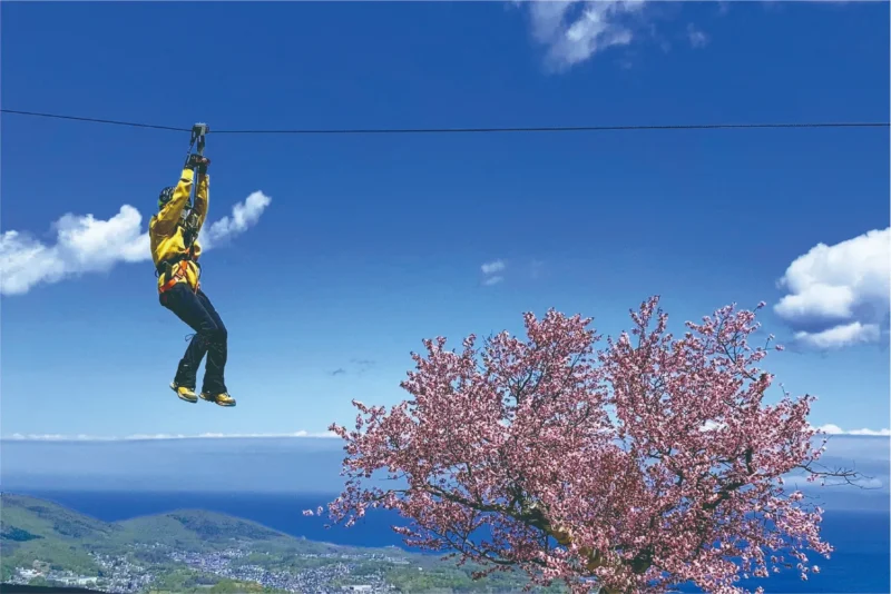 小樽天狗山ロープウェイ　TENGUUジップライン