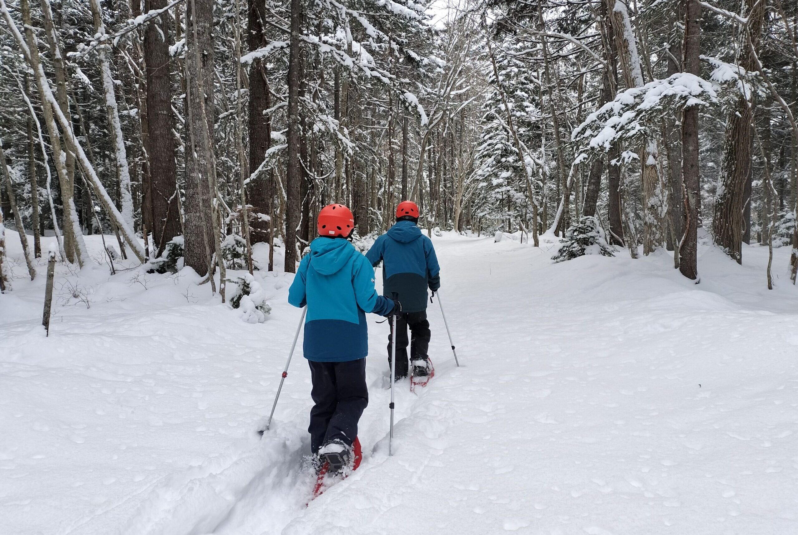 支笏湖 プライベート スノーウォーク