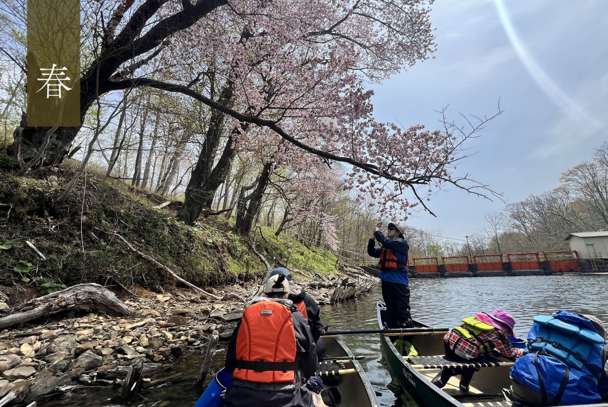 ネイチャークルージング※2026年の予約受付は開始しておりません。