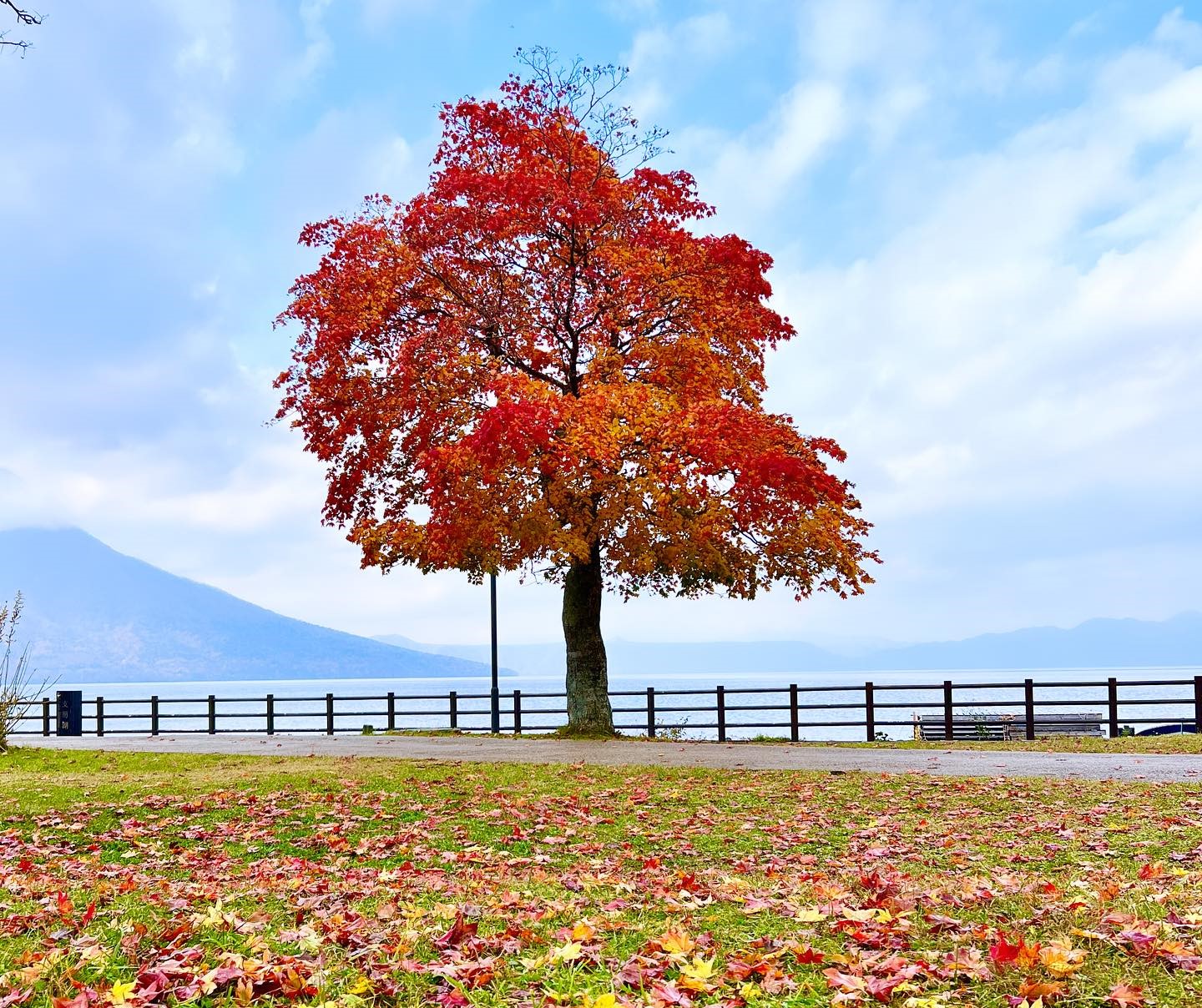 支笏湖の10月天候・服装・紅葉を支笏湖在住ガイドがご紹介！